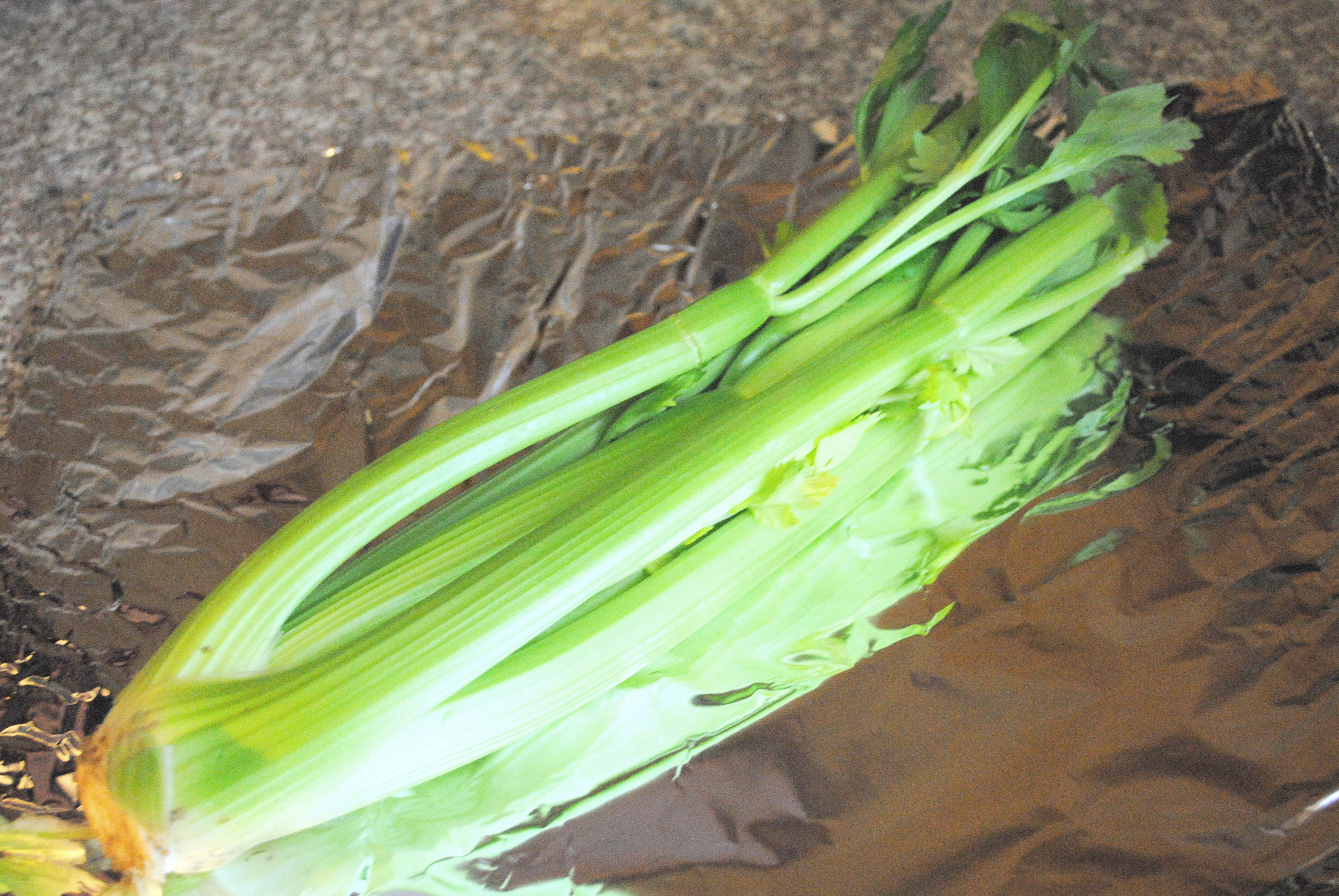 Today’s Tip: Double the Life of Your Celery