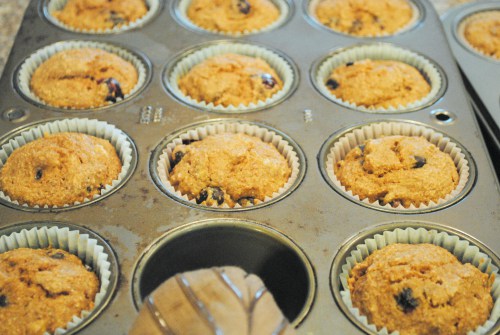 cupcake