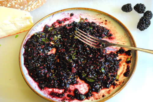 blackberry fontina grilled cheese recipe