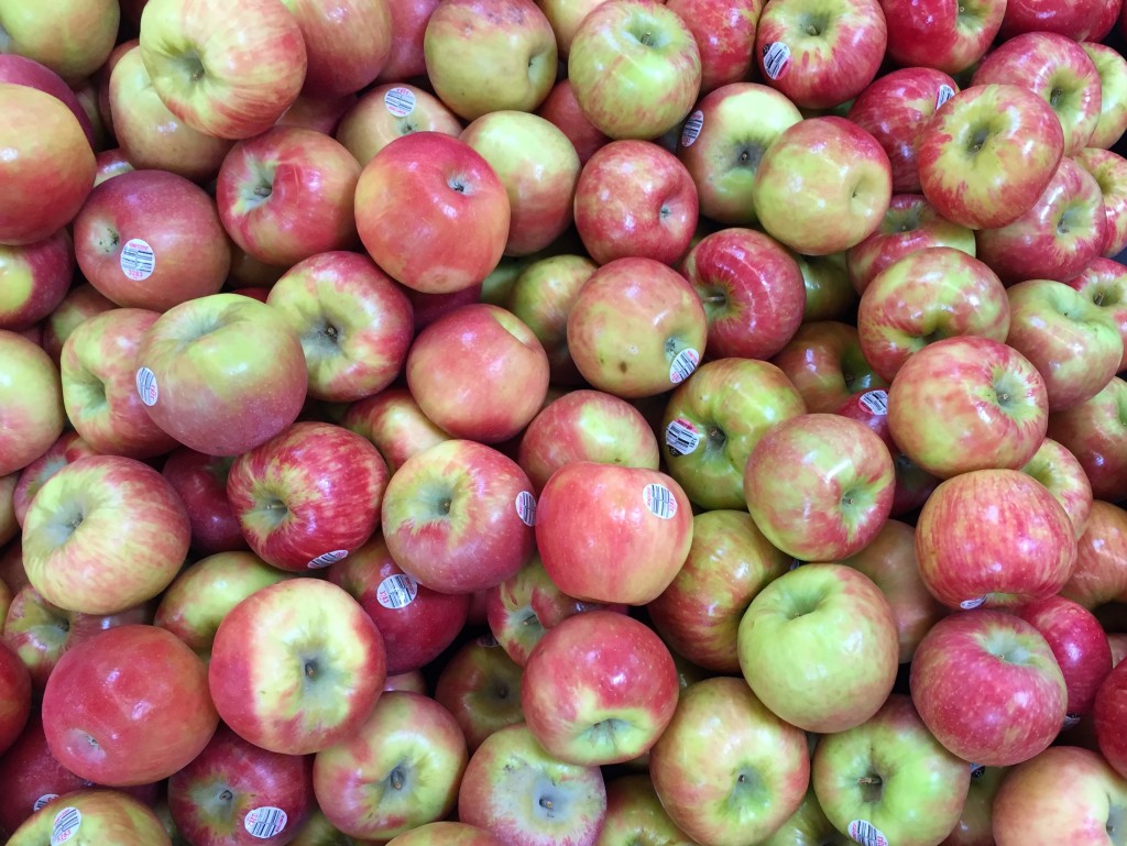 10 Ways to Save Money on Groceries