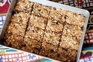 Dark Chocolate Almond Butter Lactation Bars
