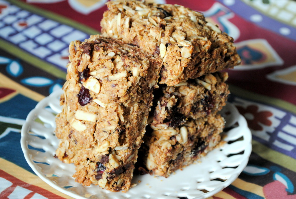 Dark Chocolate Almond Butter Lactation Bars