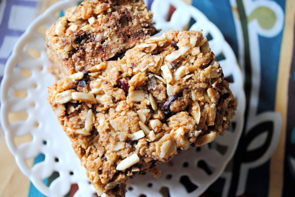 Dark Chocolate Almond Butter Lactation Bars