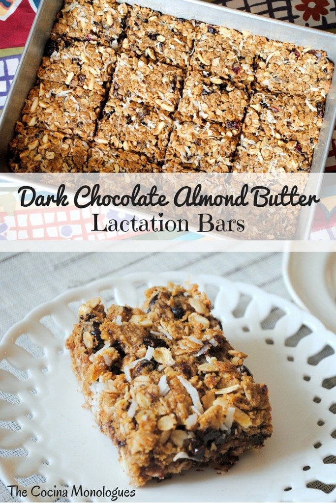 Dark Chocolate Almond Butter Lactation Bars